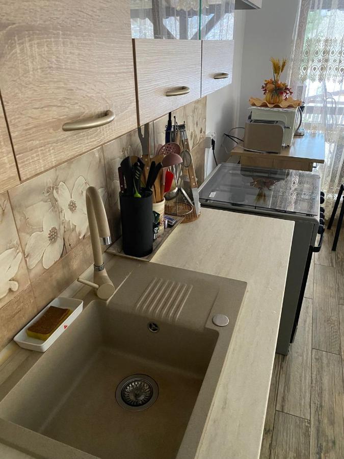 B House Buşteni Εξωτερικό φωτογραφία