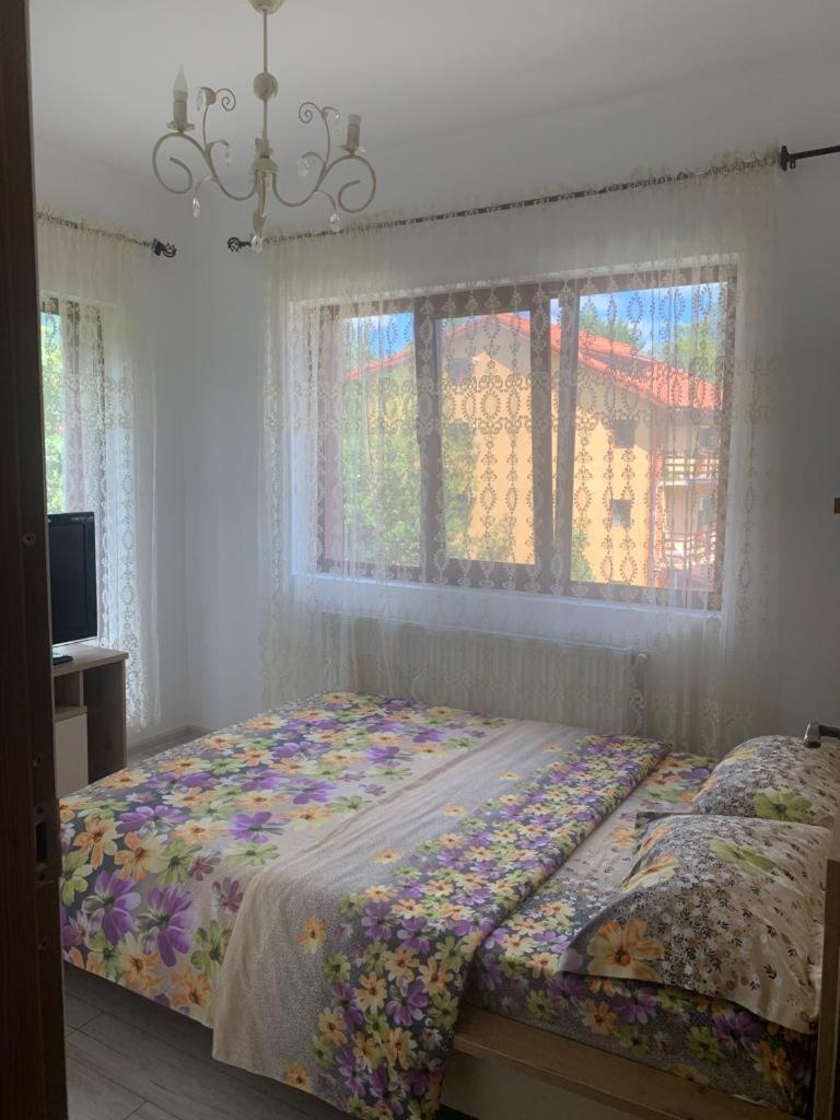 B House Buşteni Εξωτερικό φωτογραφία