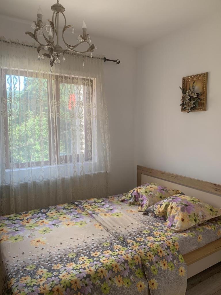 B House Buşteni Εξωτερικό φωτογραφία